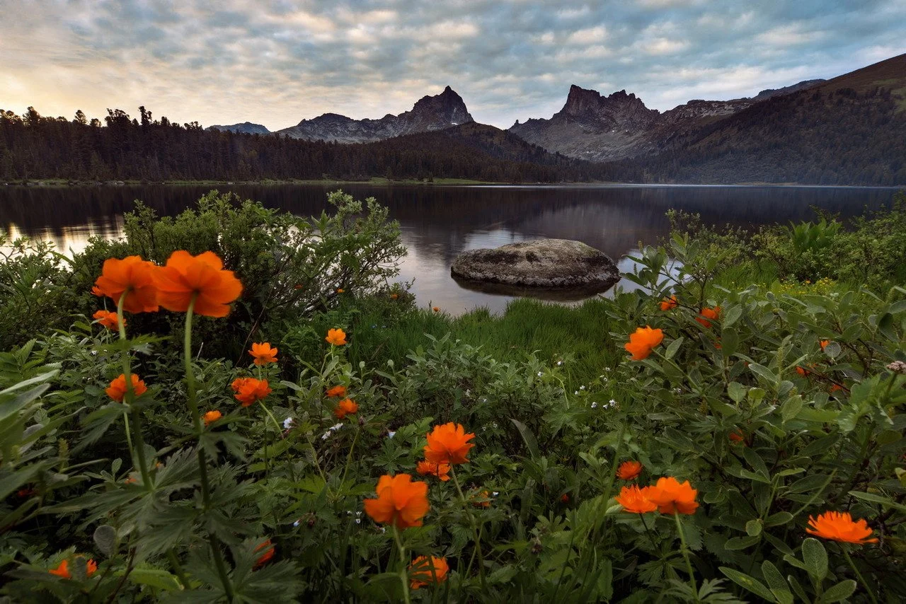 nature